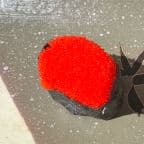 Best Flying Fish Roe in Brooklyn, NY